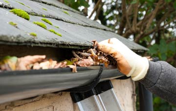 gutter cleaning Portaferry, Ards